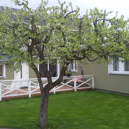 Ovelia B&B Kuressaare Dış mekan fotoğraf